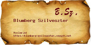 Blumberg Szilveszter névjegykártya
